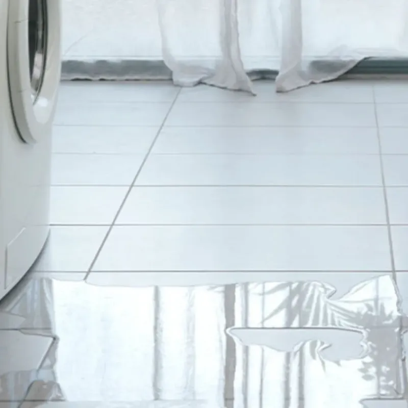 Appliance Leak Cleanup in Tyrrell County, NC