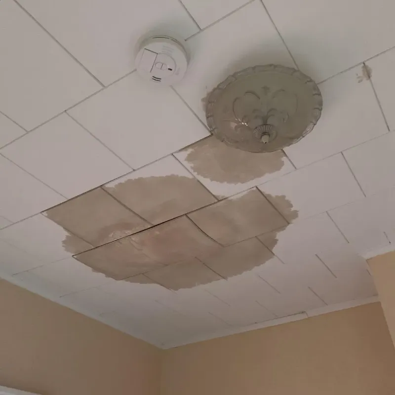 Ceiling Water Damage Repair in Tyrrell County, NC