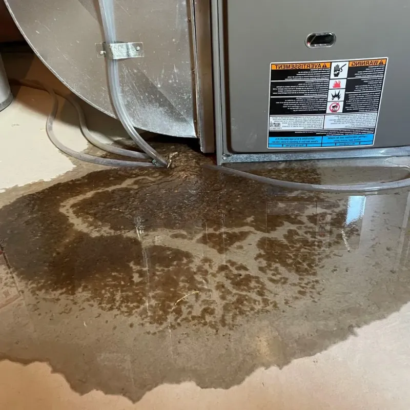 Pipe Burst and Leak Restoration in Tyrrell County, NC