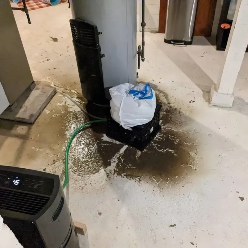Sewage Backup Cleanup Service in Tyrrell County, NC
